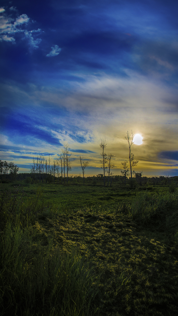 IMG-GALLERY