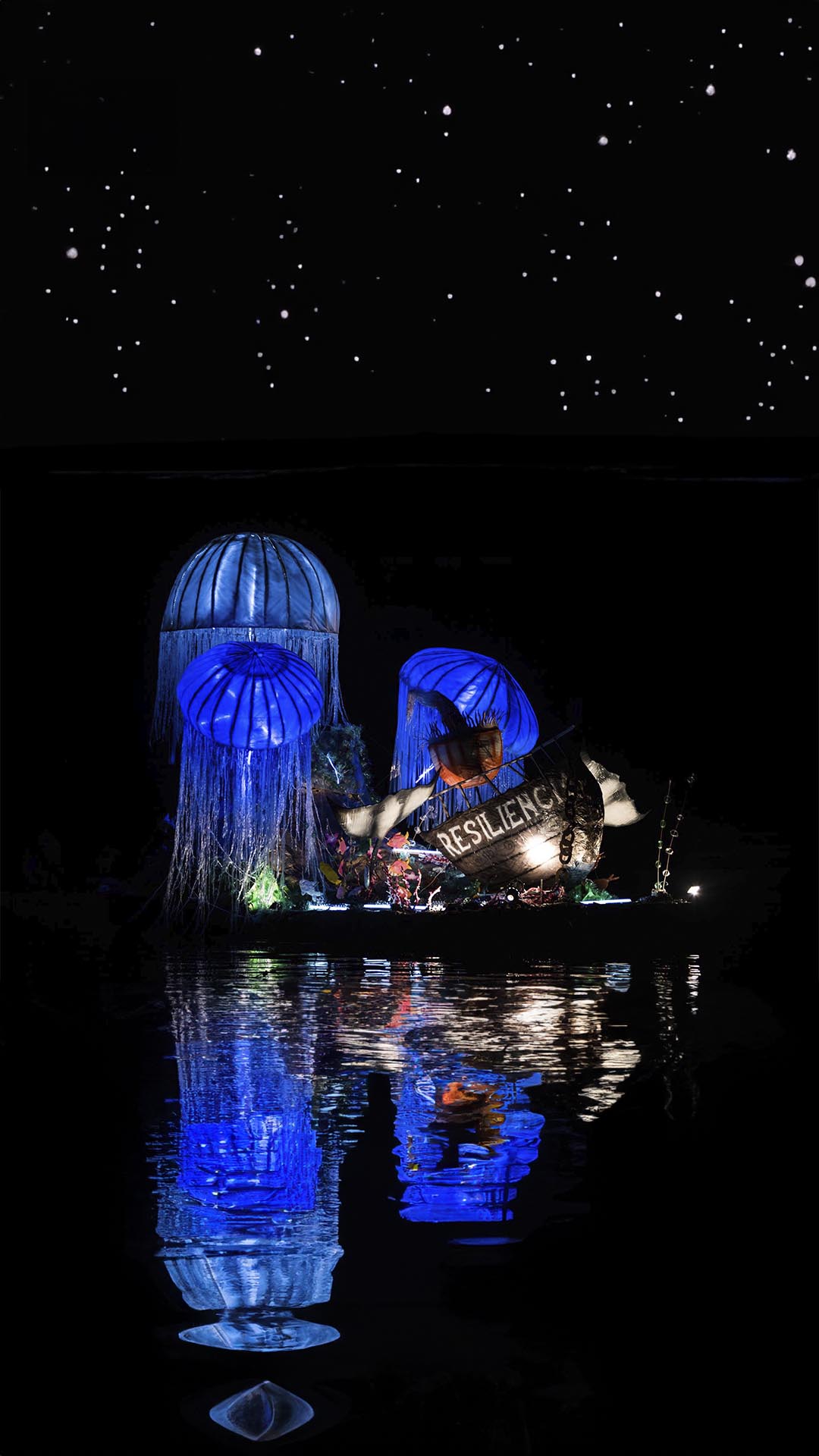 IMG-GALLERY